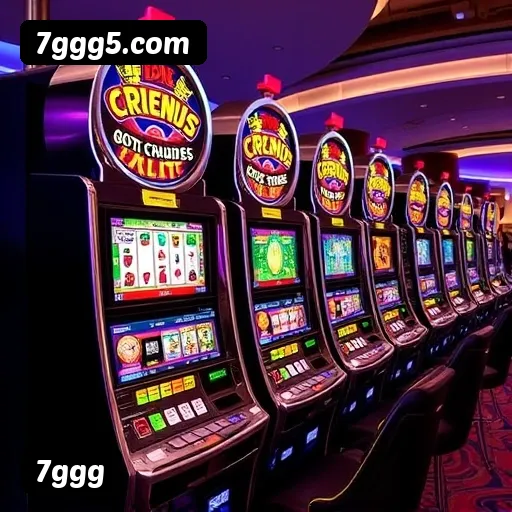 Termos e Condições Transparentes 7ggg